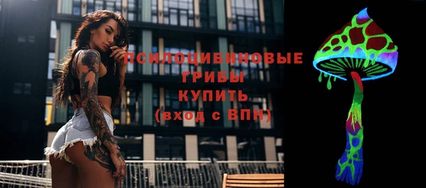 ПСИЛОЦИБИНОВЫЕ ГРИБЫ Бородино