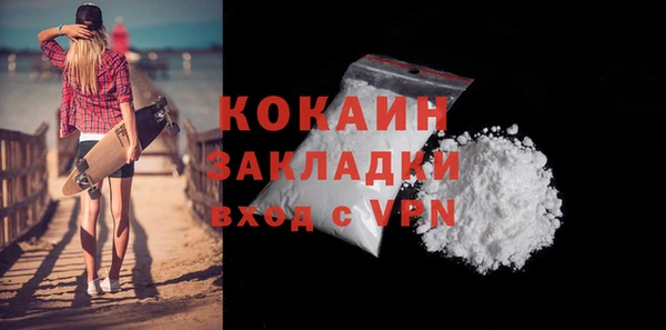 прущие грибы Бронницы