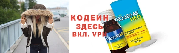 прущие грибы Бронницы