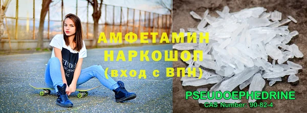 прущие грибы Бронницы