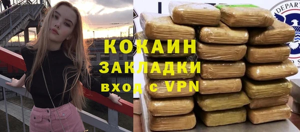 прущие грибы Бронницы
