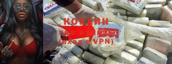 прущие грибы Бронницы