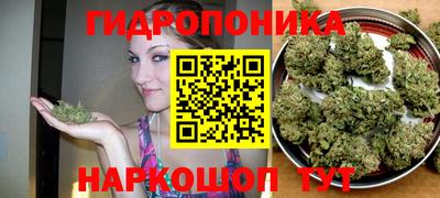 хмурый Абакан