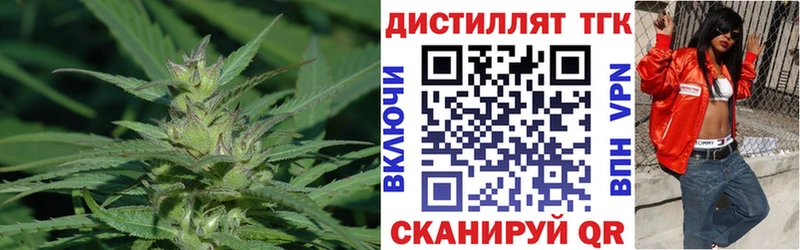 Дистиллят ТГК Wax Новозыбков
