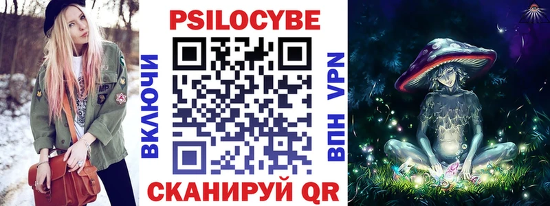 Купить  Новозыбков  Галлюциногенные грибы Psilocybe 