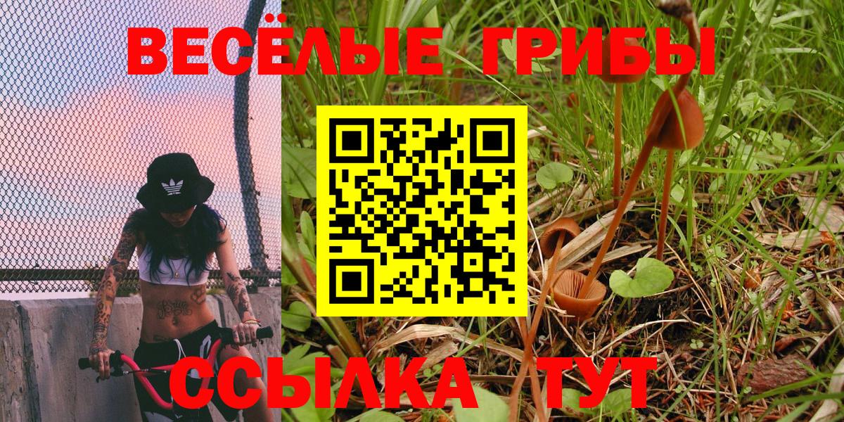 Псилоцибиновые грибы мухоморы  Новозыбков 