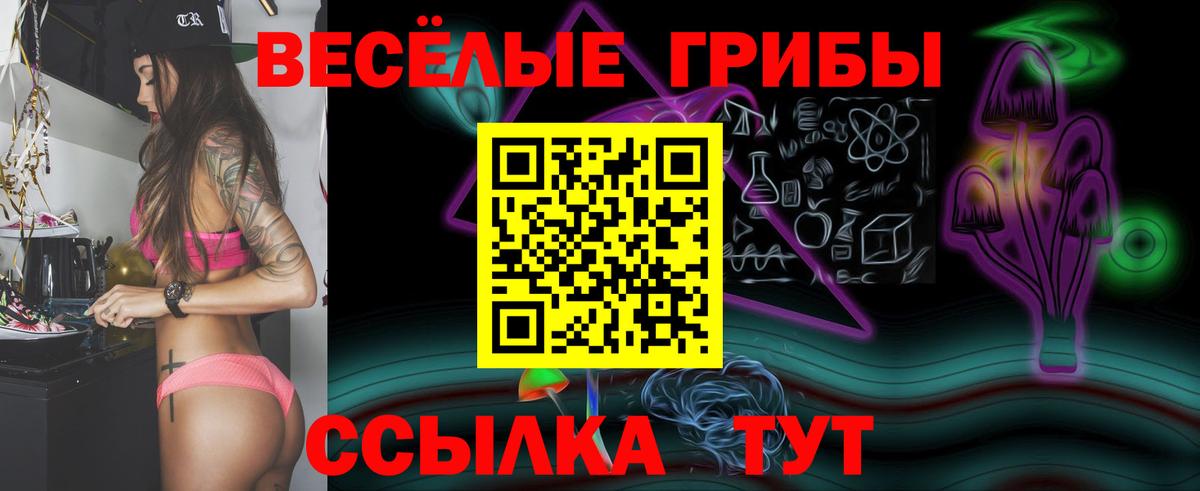 Галлюциногенные грибы прущие грибы Новозыбков